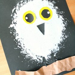 Painted Snowy Owl- Fantastic Fun and Learning