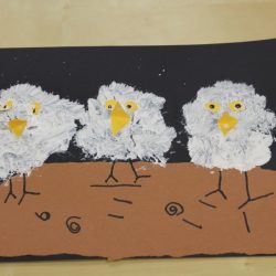 Snowy Owl Babies- Creative Tots
