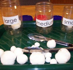 Sorting Snowballs- Learning and Teaching with Preschoolers