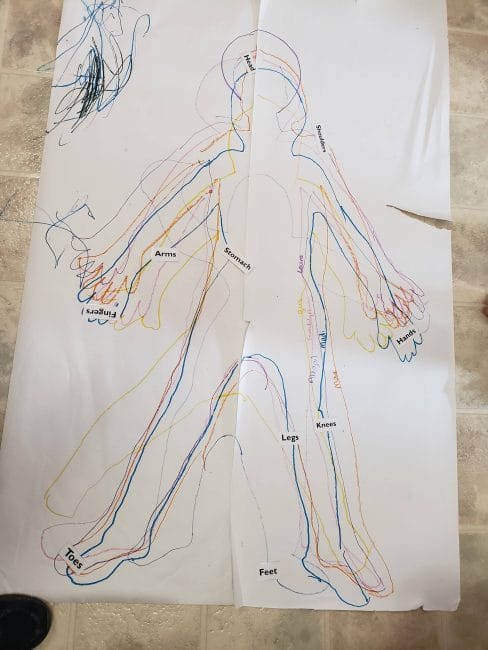 Use a fun rainbow body tracing activity to talk about major body parts: arms, legs, hands, feet, head, tummy and so on!