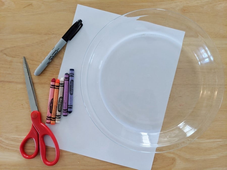 Safe Fireworks Float or Sink Experiment for Kids - HOAWG