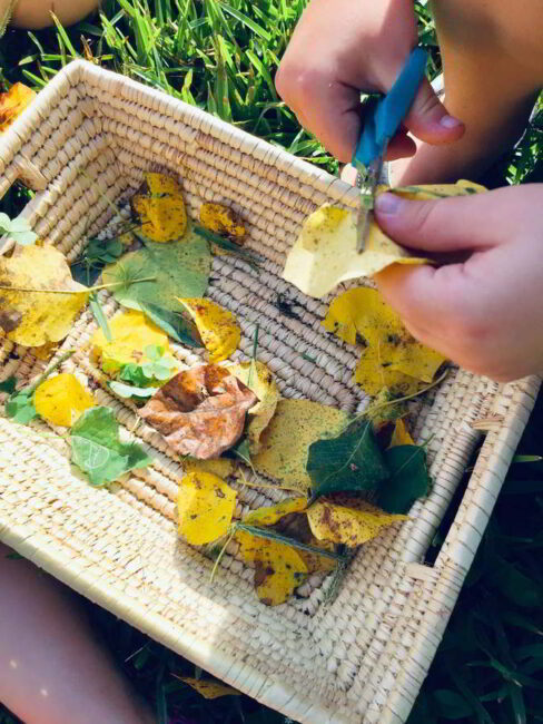 This fine motor leaf cutting activity takes no time to prep. Plus it builds scissor skills!