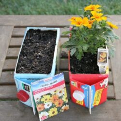 Hands On As We Grow- Upcycled Carton Flower Garden