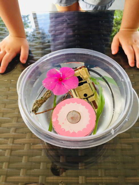 Adding summery nature and toys that make us think of summer to our frozen time capsule.