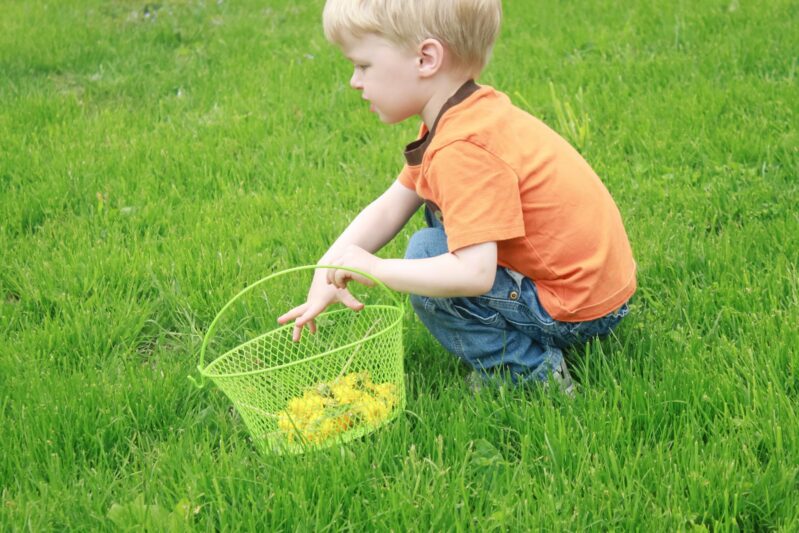 playing outdoors picking dandelions