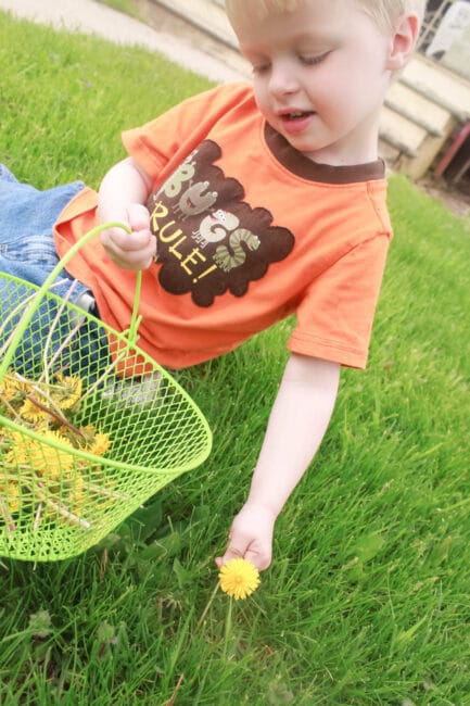 A dandelion activity that ends with fine motor threading! Win-win!