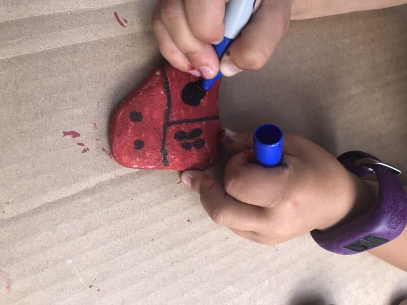 Rock Coloring and Hiding Activity