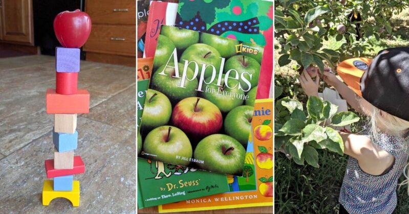 An apple book inspired week of reading and activities to get your kids ready for back-to-school this fall! Apple fun for the whole family!