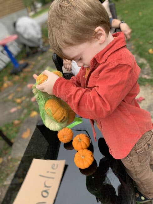 A super simple fall pumpkin scavenger hunt with a name sorting twist.