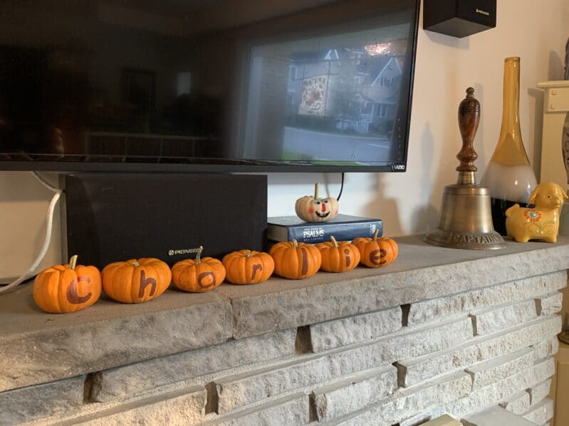 Displaying final product from pumpkin hunt and name sort for thanksgiving.