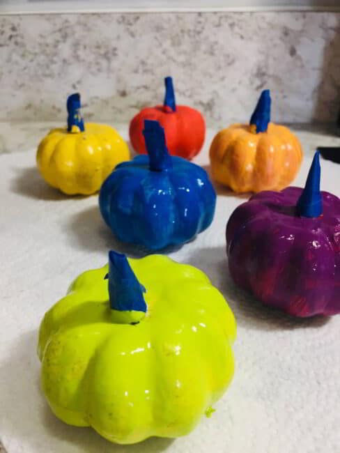 Set your rainbow painted pumpkins on paper towels to dry