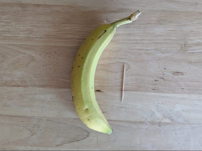 Banana Messages Experiment Supplies