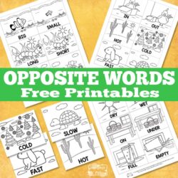 Opposite Words Printable - Itsy Bitsy Fun