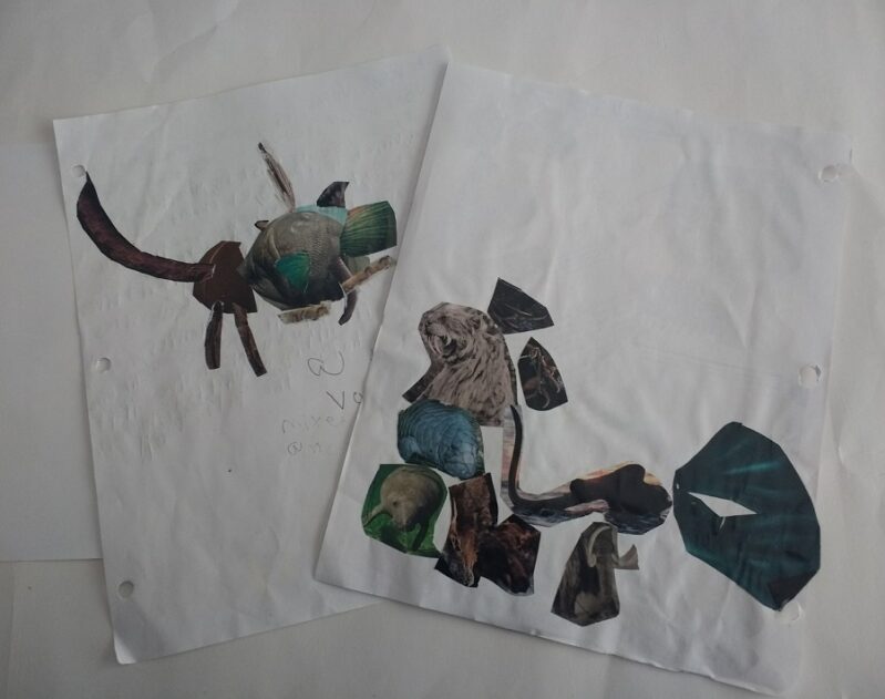 create your own animal craft using magazines for kids