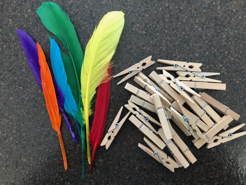 Feathers and clothespins are perfect for fine motor activity exploration.