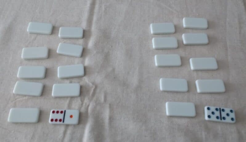 playing a game of Memory with dominoes