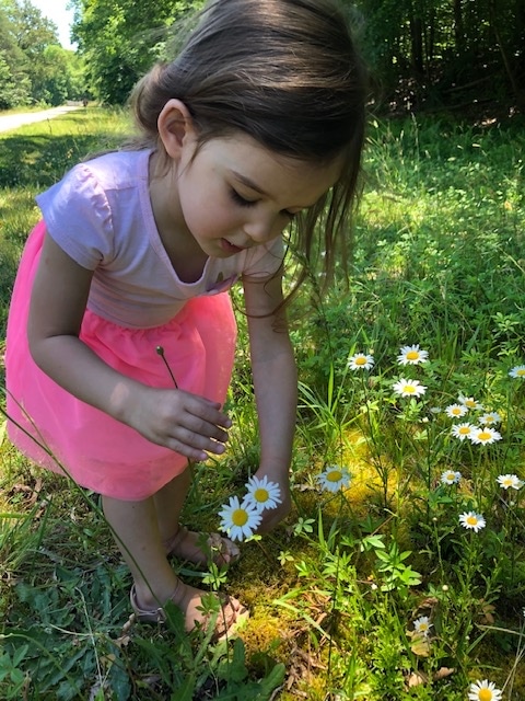 Help your child experience nature with all 5 senses with simple outdoor sensory walk ideas that will inspire you both on your next adventure.