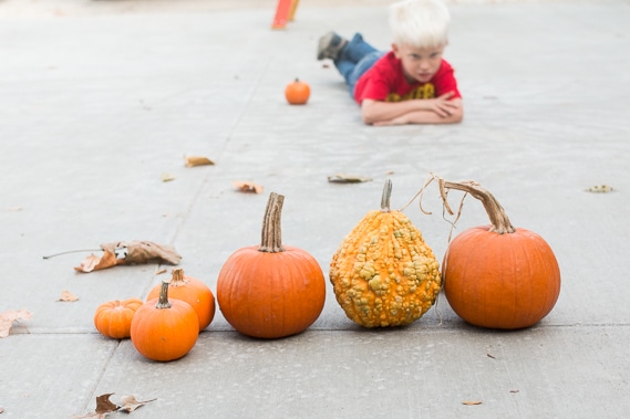 Work on spacial recognition with this super simple pumpkin sorting activity that is perfect for fall. Kids will have fun trying to find the tallest pumpkin in the mix.