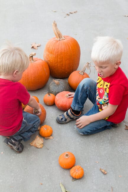 Have fun with all your beautiful fall pumpkins sorting and lining them up! Your kids will love figuring out the tallest to the shortest!