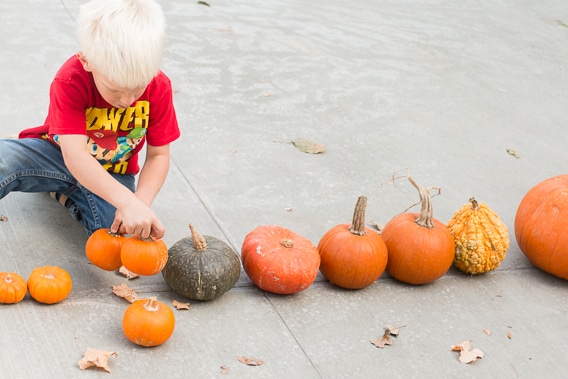 Get your toddlers and preschoolers to sort as many pumpkins as you can find from tallest to shortest with this easy autumn activity.