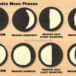 Oreo Phases of the Moon - Science Bob