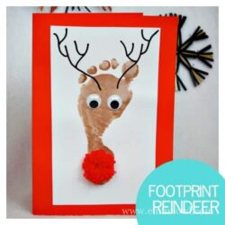 Reindeer Footprint - Emma Owl
