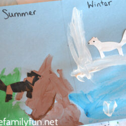 Seasons of Arctic Fox - Creative Family Fun