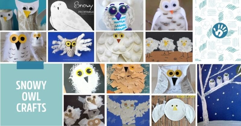 Let your imagination take flight with snowy owl crafts and creative activities that your kids are sure to love!