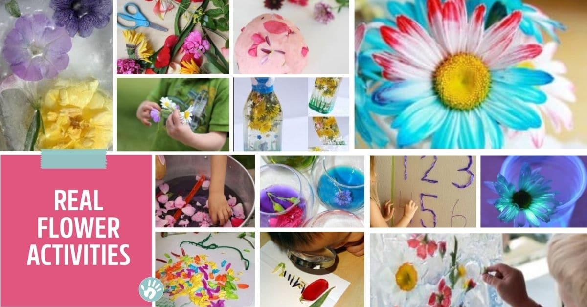 Celebrate spring with activities for toddlers and preschoolers that use real flowers!