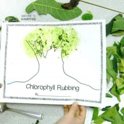 Chlorophyll Painting - Around the Kampfire