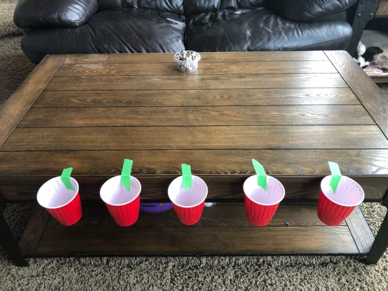 cup targets set up for target toss