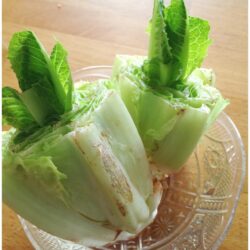Regrow Lettuce Experiment - Little Bins for Little Hands