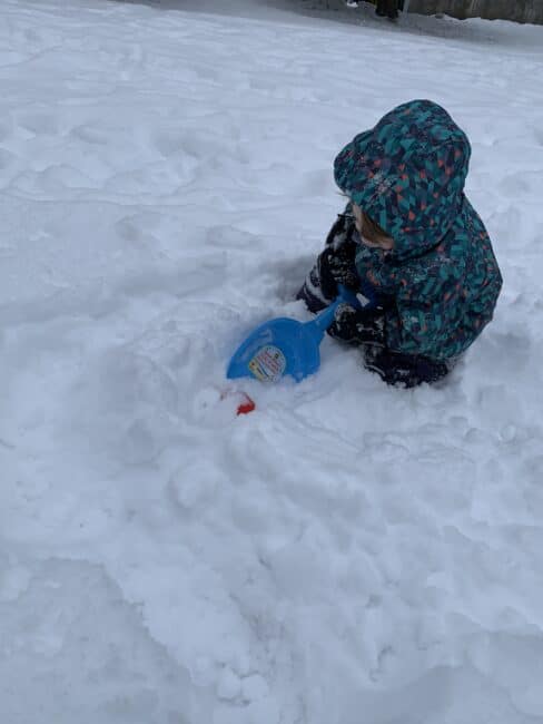 Digging for treasure in the snow