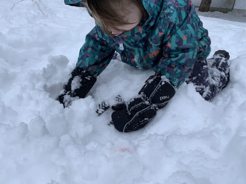 Digging for treasure in the snow