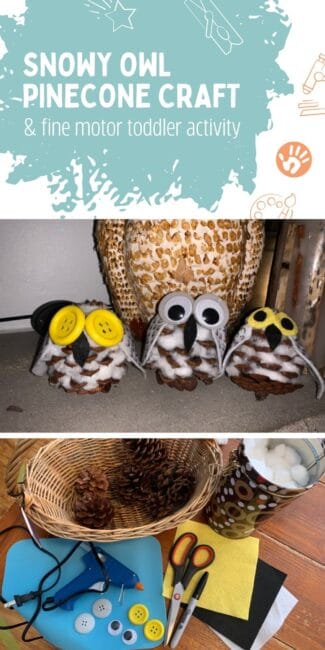 snowy owl pinecone craft