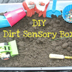 Dirt Sensory Bin - Frogs and Snails and Puppy Dog Tail