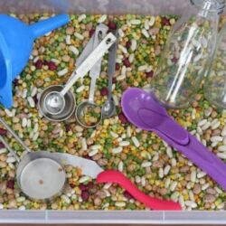 Dried Beans, Peas, and Lentils Sensory Bin - Learning 4 Kids