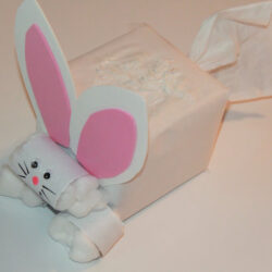 Toilet Paper Roll and Tissue Box Easter Bunny
