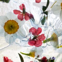 Flowers Sensory Bag - Hands On As We Grow