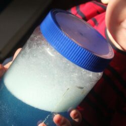 Soapy Sensory Jar - Hands On As We Grow