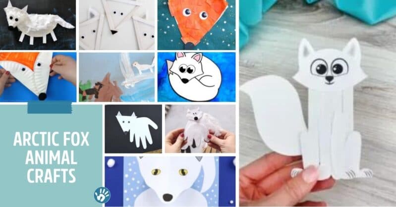 Cute arctic fox animal crafts