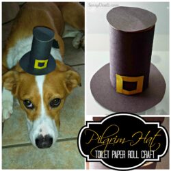 Pilgrim Hat Toilet Paper Roll Thanksgiving Craft