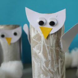 Snowy Owl Toilet Paper Roll Craft for Kids