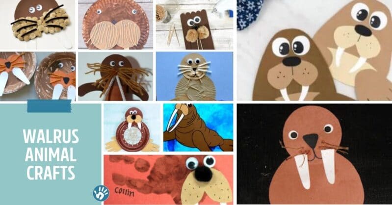Wonderful walrus crafts for kids to make with lots more arctic animals!
