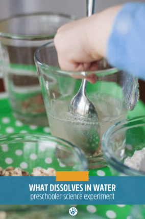 what dissolves in water preschooler science experiment