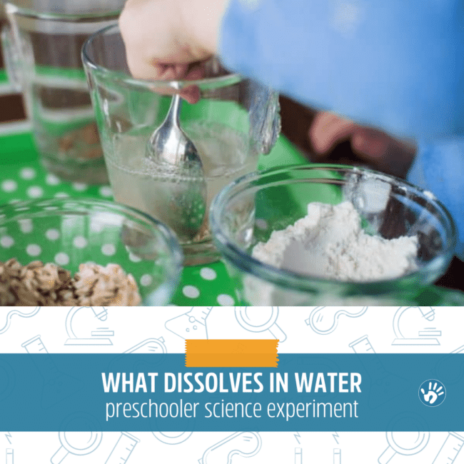 what dissolves in water
preschooler science experiment
