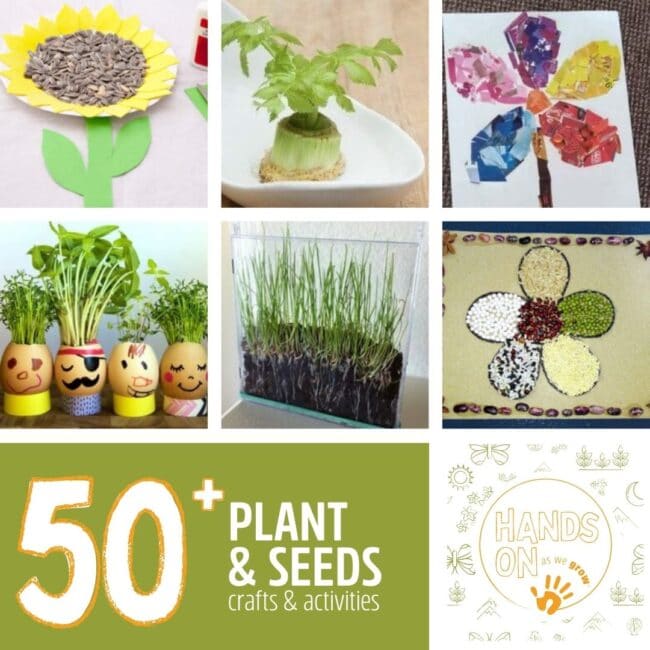 plant crafts