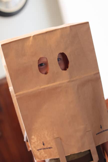 A brown paper bag mask