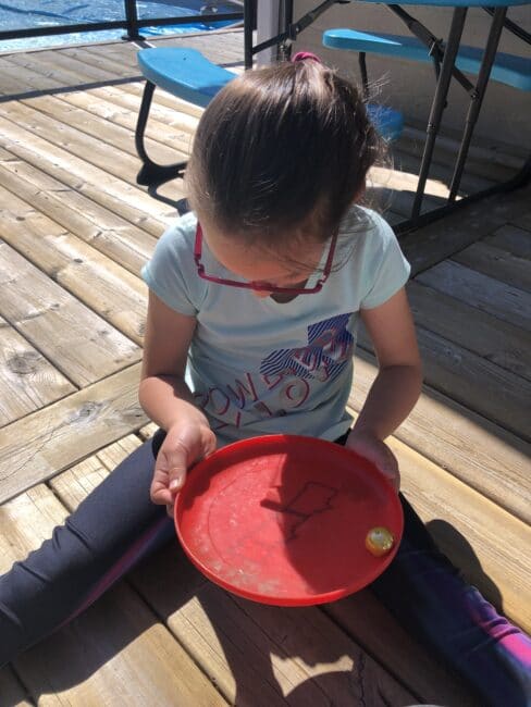 Freestyle activity and sensory play with marbles and frisbees.