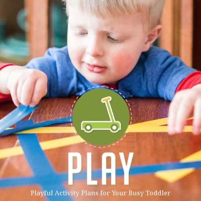 PLAY Sample Weekly Activity Plan for 2 Year Olds